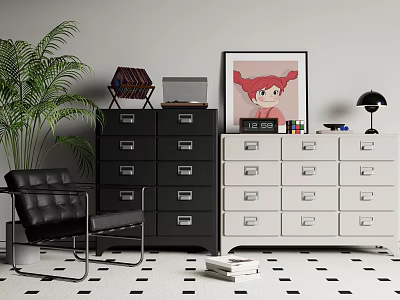 Modern Entryway Cabinet And Side Cabinet With Black White Design Green Plant And Art Painting 3d model