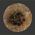 Wooden Stump Decorative Piece With Natural Stone Base And Rustic Textured Surface