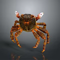 Colorful Crab With Orange Legs White Claws On Gray Background Surface 3d model