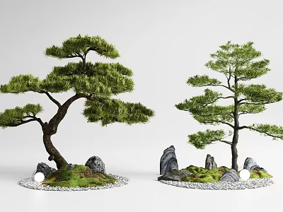 Artistic Two Bonsai Tree Plant Combinations With Stones Moss And Small Lights 3d model