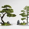 Artistic Two Bonsai Tree Plant Combinations With Stones Moss And Small Lights