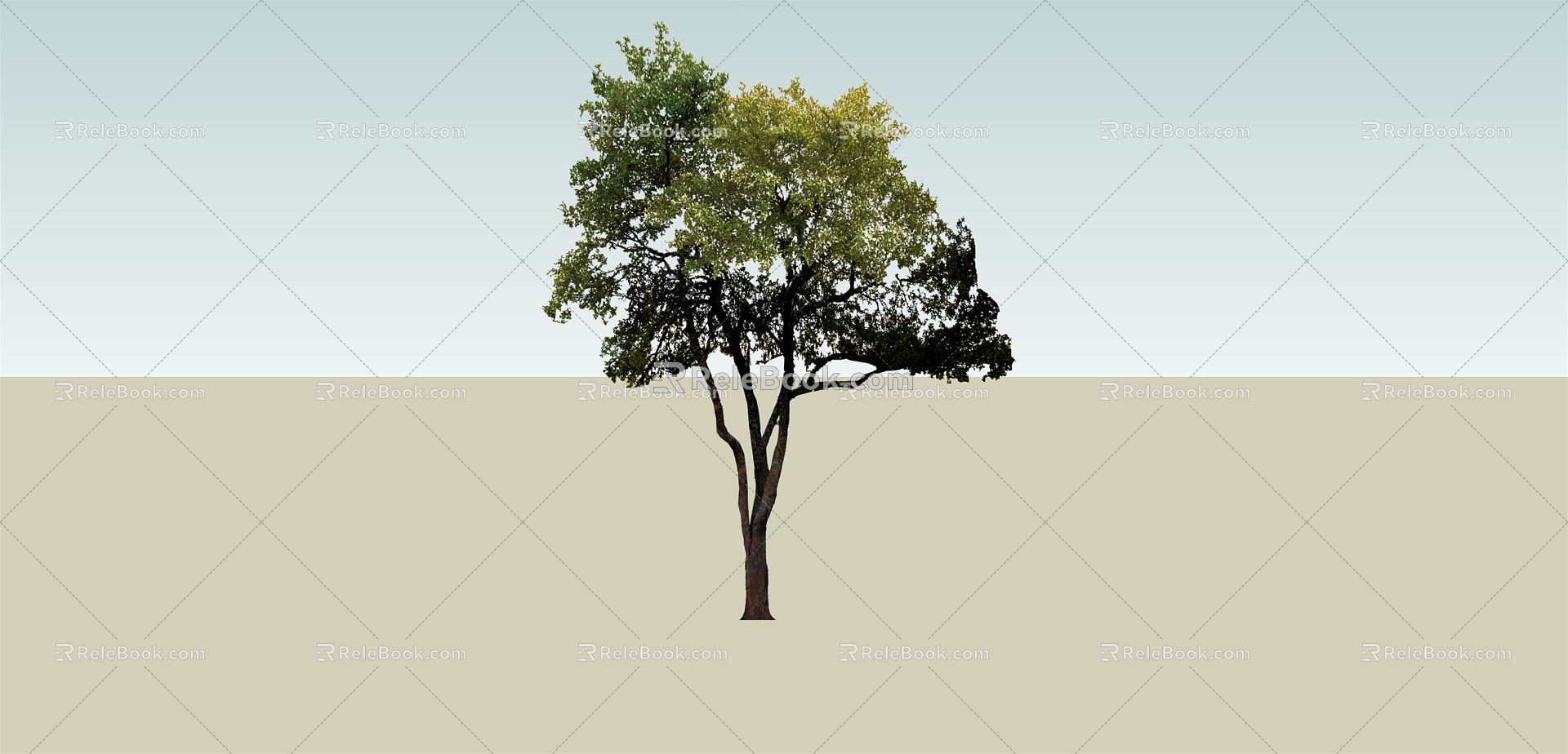 Modern Trees Trees Plants Landscape Trees model