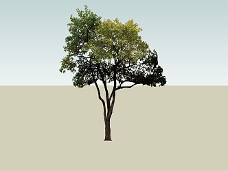 Modern Trees Plants Landscape Trees 3d model