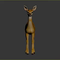 Orange Fawn with White Spots Standing on Dark Background with Reflection