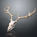 Deer Skull With Antlers And Detailed Bone Structure Against Dark Background