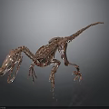 Pink Dinosaur Skeleton Model In Walking Pose With Dark Background And Reflective Surface