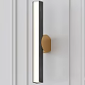 Elegant Modern Wall Lamp With Brass Finish And Minimalist Design For Home Interior Decor