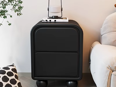 Modern Black Console Side Cabinet with Drawers and Top Lamp and Books Near Sofa Plant 3d model