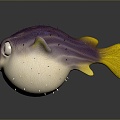 Puffer Dolphin Cartoon Puffer Dolphin Cartoon Puffer Sashimi Puffer Fish Freshwater Fish Puffer Fish 3d model