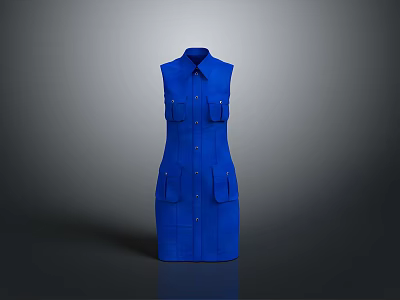Stylish Blue Sleeveless Collared Dress With Multiple Front Pockets And Neat Design 3d model
