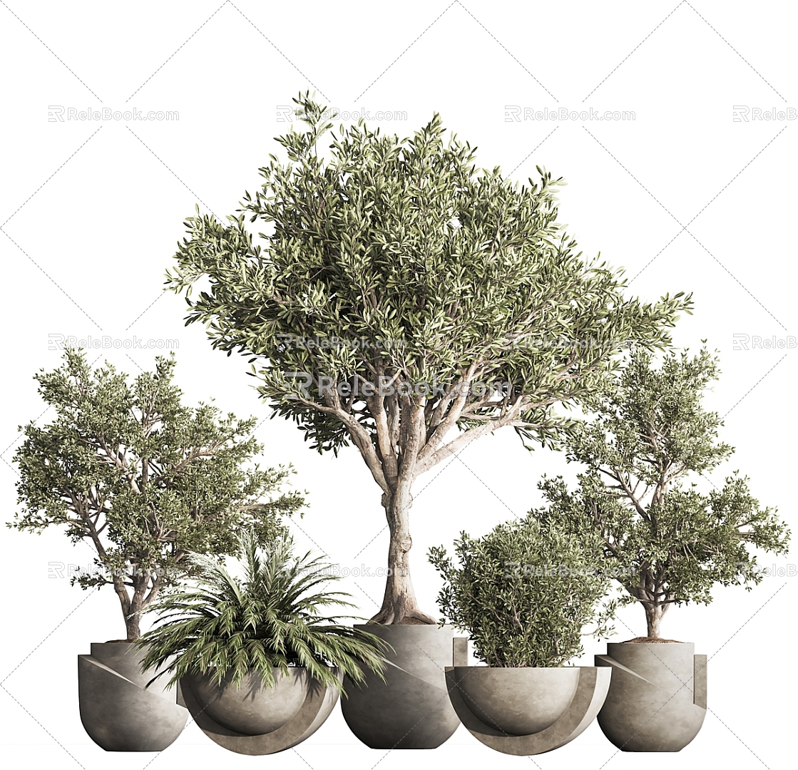 Modern potted plant potted combination 3d model