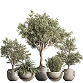 Modern potted plant potted combination 3d model