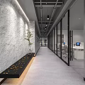 Modern IT Office Corridor With Gray Walls Red Glass Partitions And Green Plant