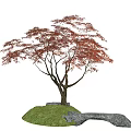 Modern Red Maple Red Maple Landscape Tree Landscape Stone Terrain 3d model