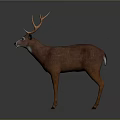 Realistic Brown Deer Sculpture With Orange Antlers Standing On Gray Background