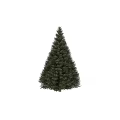 Tree Pit with Lush Green Evergreen Pine Trees in Landscaping Design