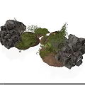 Modern Landscape Design Featuring Rocks Moss And Small Green Plants Arrangement
