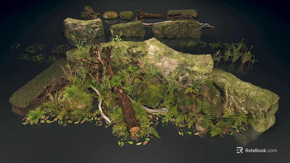 Natural Forest Floor Scene With Moss Covered Rocks Ferns And Driftwood 3d model 