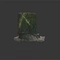Green Plants Growing On Tree Stump With New Sprouts And Surrounding Soil Details