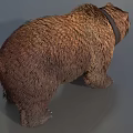 Brown Bear Wearing Collar Standing On Gray Surface In Studio