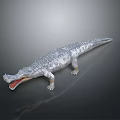 Realistic 3D Crocodile Model With Open Mouth And Textured Skin On Dark Background