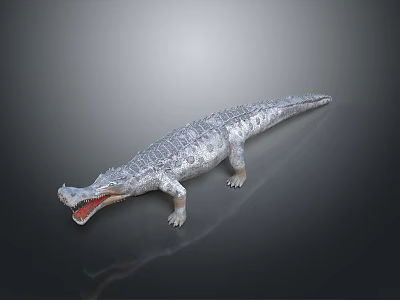 Realistic 3D Crocodile Model With Open Mouth And Textured Skin On Dark Background 3d model