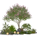 Plant Combination with Pink Flowering Tree Surrounding Greenery Stones and White Lights