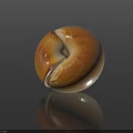 Golden Brown Bagel With Shiny Surface On Dark Background And Clear Reflection