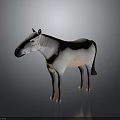 3D Rendered Zebra With Striped Body Standing On Dark Background With Reflection