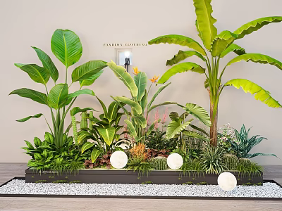 Indoor Plant Arrangement With Large Green Leaves Various Tropical Plants And White Decorative Balls 3d model