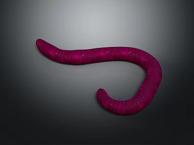 Vibrant Pink Worm With Textured Body In Curved Shape On Gray Background 3d model