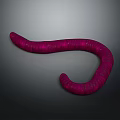 Vibrant Pink Worm With Textured Body In Curved Shape On Gray Background