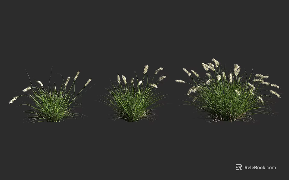 Green Leaf Shrubs with White Flowers in Three Different Sizes for Landscaping 3d model 