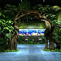 Lush Green Plant Decor With Tree Branch Archway And Large Aquarium Featuring Colorful Fish