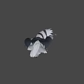 Game Character Anthropomorphic White Wolf With Red Eyes Black T-shirt White Wolf Print And Shorts
