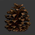 Brown Conical Pine Cone With Scaly Texture On Dark Reflective Background 3d model