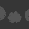 Three Lush Green Trees With Dense Foliage And Brown Trunks Against Black Background
