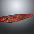 Vibrant Red Elongated Fish With Shiny Texture Displayed Against Gray Background