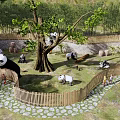Panda Park Landscape With Large Tree Wooden Fence Stone Path And Visitors
