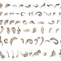 Vintage Ornamental Decorative Elements With Curved Patterns And Floral Designs