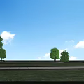Arbor With Lush Foliage Thick Trunk Exposed Roots Green Grass Small Trees And Blue Sky