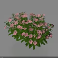 Fresh Pink Small Flowers With Green Leaves On Light Blue Background Arrangement