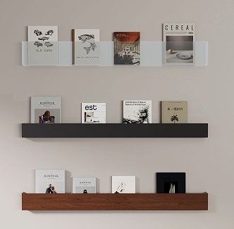 Modern Bookshelf Books 3d model