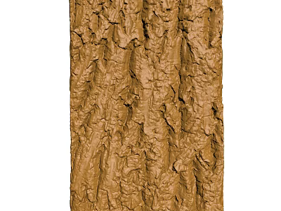 Natural Rough Brown Tree Bark Texture Showing Detailed Organic Surface Patterns 3d model