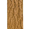 Natural Rough Brown Tree Bark Texture Showing Detailed Organic Surface Patterns