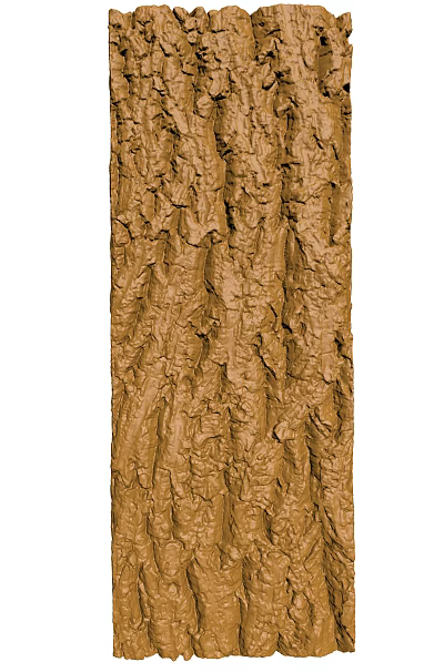 Natural Rough Brown Tree Bark Texture Showing Detailed Organic Surface Patterns 3d model