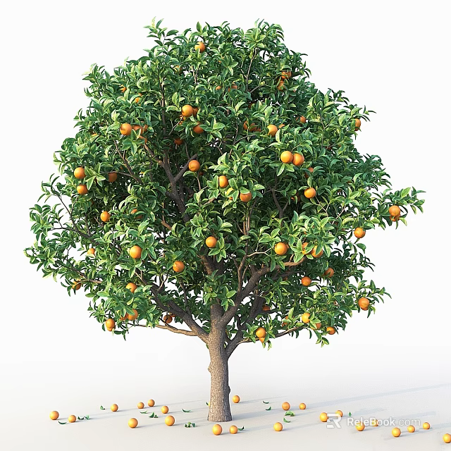 Garden Accent Vibrant Orange Tree Bearing Ripe Fruits And Lush Green Leaves 3d model 
