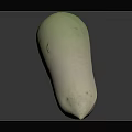 Fresh Daikon Radish With Green Top And White Smooth Body On Dark Background
