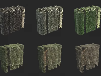 Various Green Living Wall Designs For Indoor And Outdoor Decorative Gardens 3d model