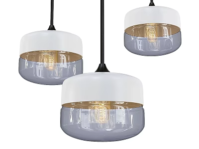 Contemporary Glass Pendant Lights In White Gray With Transparent Shades And Visible Bulbs 3d model